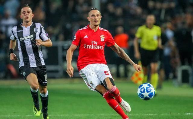 仅展示了约 仅展示了约