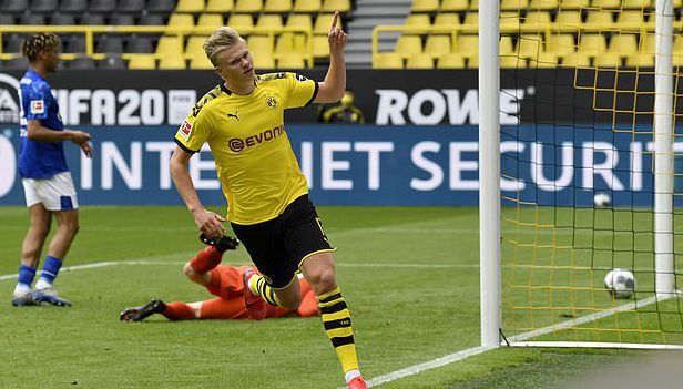 的共同努力 的共同努力