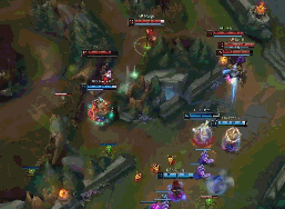 会缺席一周 会缺席一周