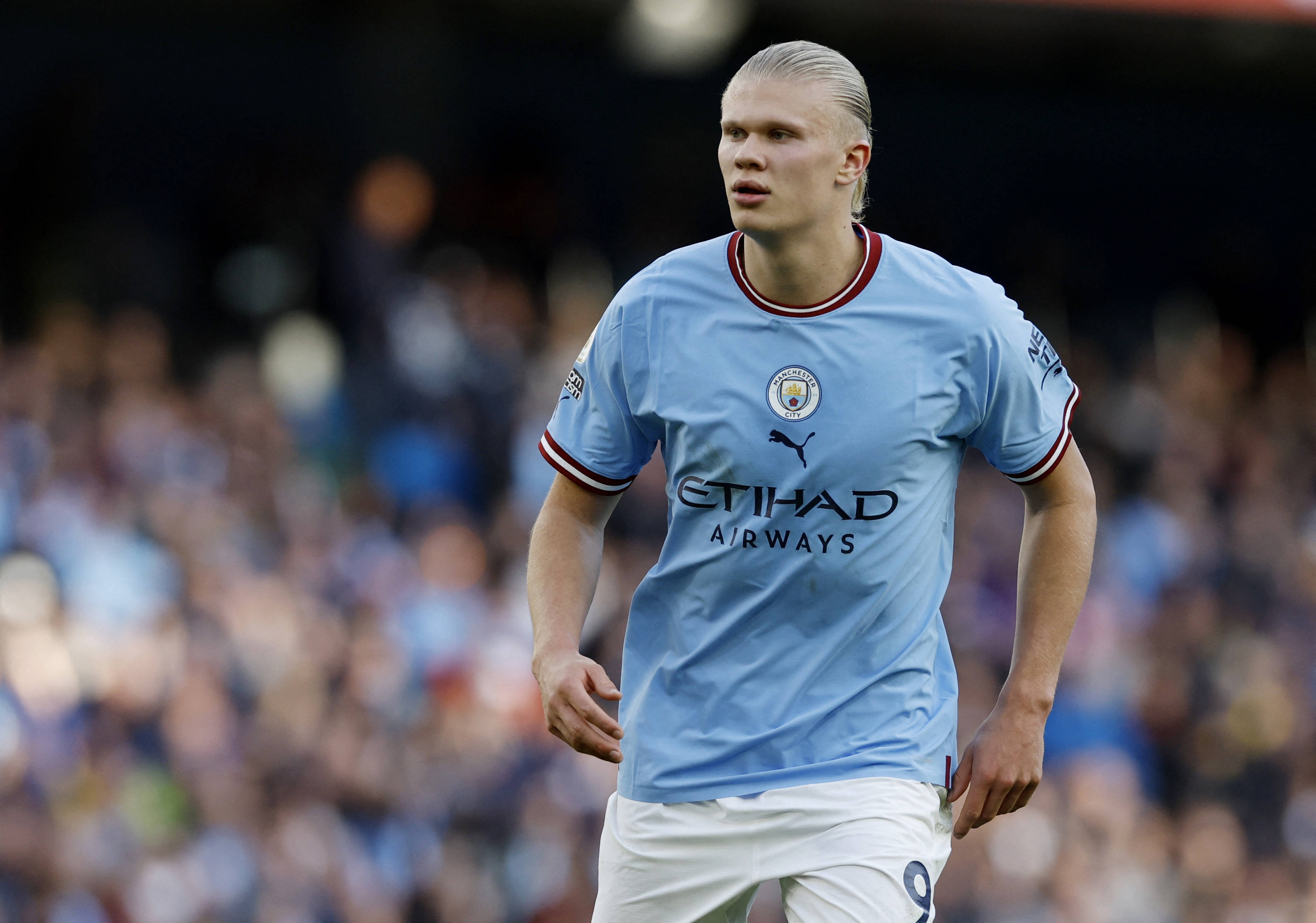 坦帕灣光芒 坦帕灣光芒