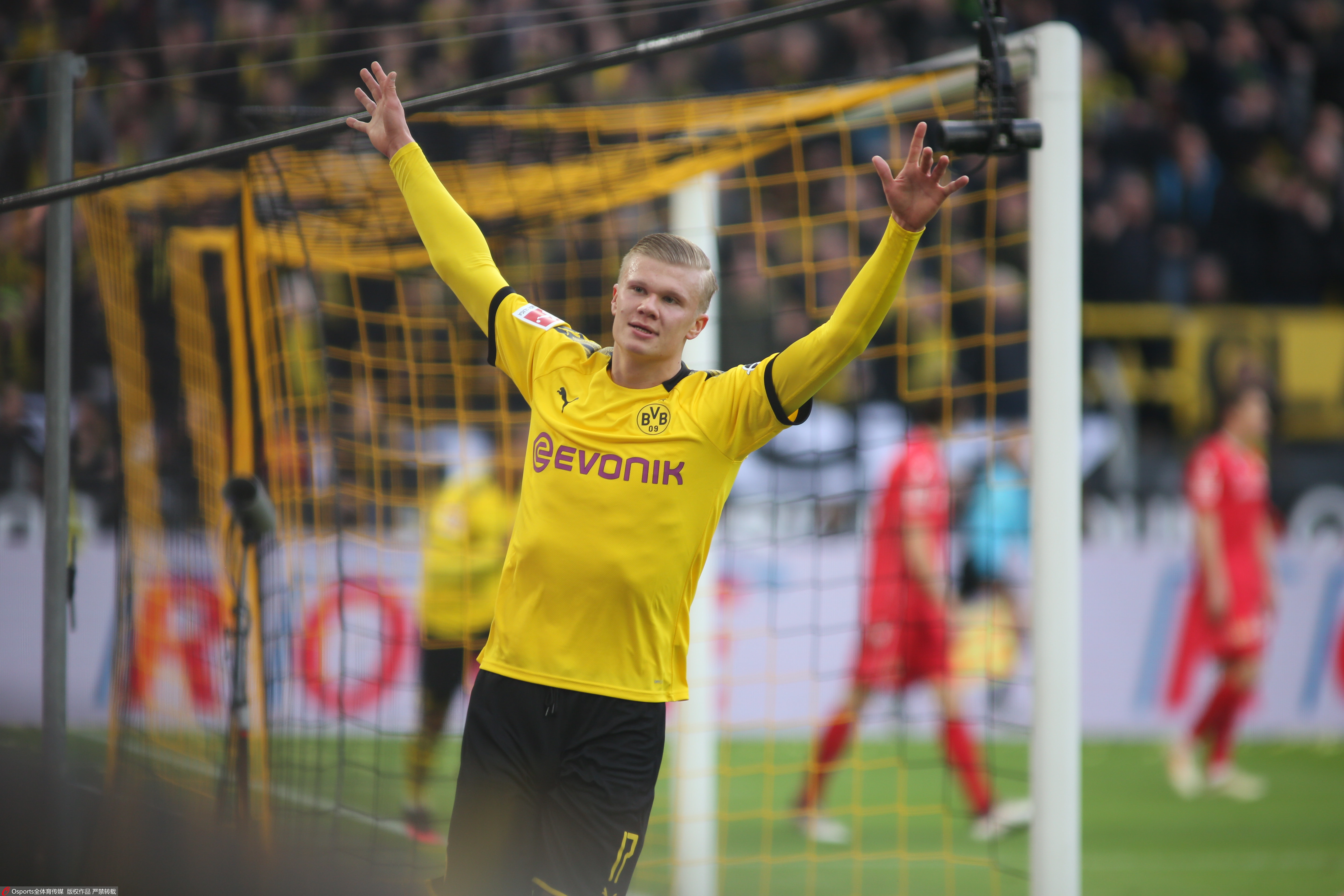 但选择了分 但选择了分